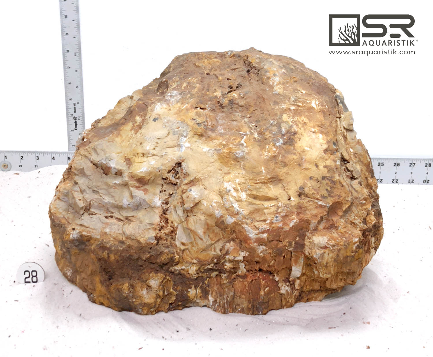 Premium Petrified Wood Slab - Natural XXL 87lbs Hand-Selected Stone for Home Decor, Office Display & Meditation Space - Unique Geological Specimen Collection Piece