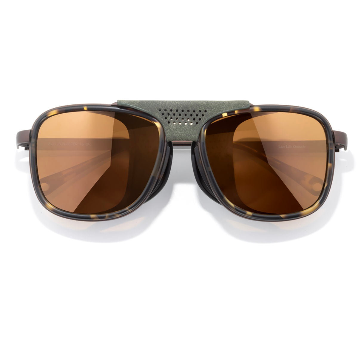 Tortoise Bronze
