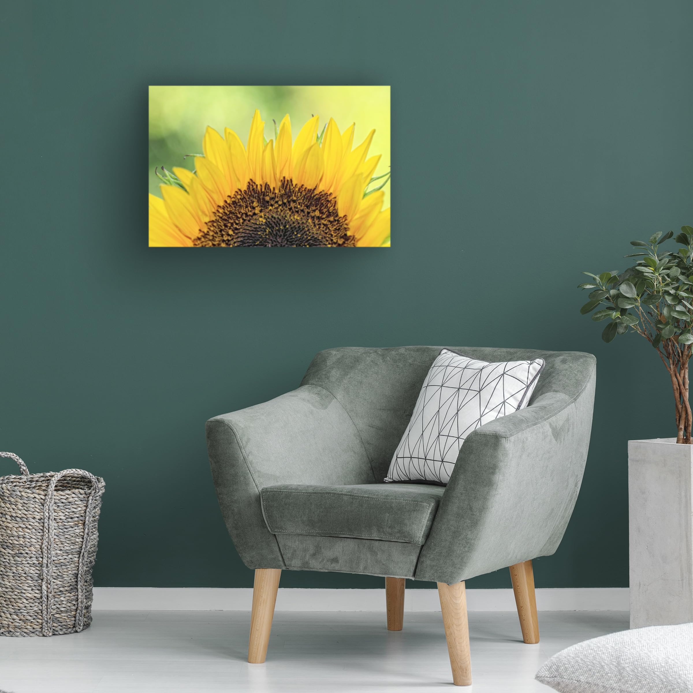 Trademark Fine Art 'Sunflower 2' by Beata Czyzowska - Hand-Painted Canvas Wall Art for Living Room, Bedroom & Office Decor