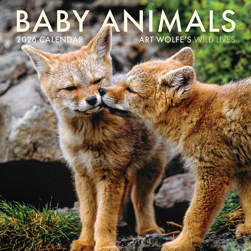 2026 Baby Animals Wall Calendar - Cute Animal Theme for Home, Office & School - Perfect for Planning & Decor