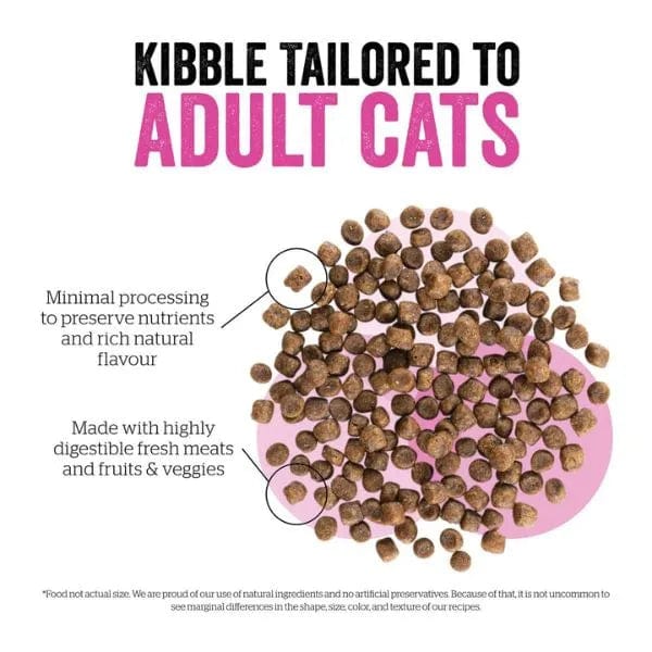 Premium Now Fresh Turkey, Salmon & Duck Recipe Adult Dry Cat Food - Grain-Free Protein Rich Kibble for Indoor & Outdoor Cats - Supports Healthy Digestion & Shiny Coat