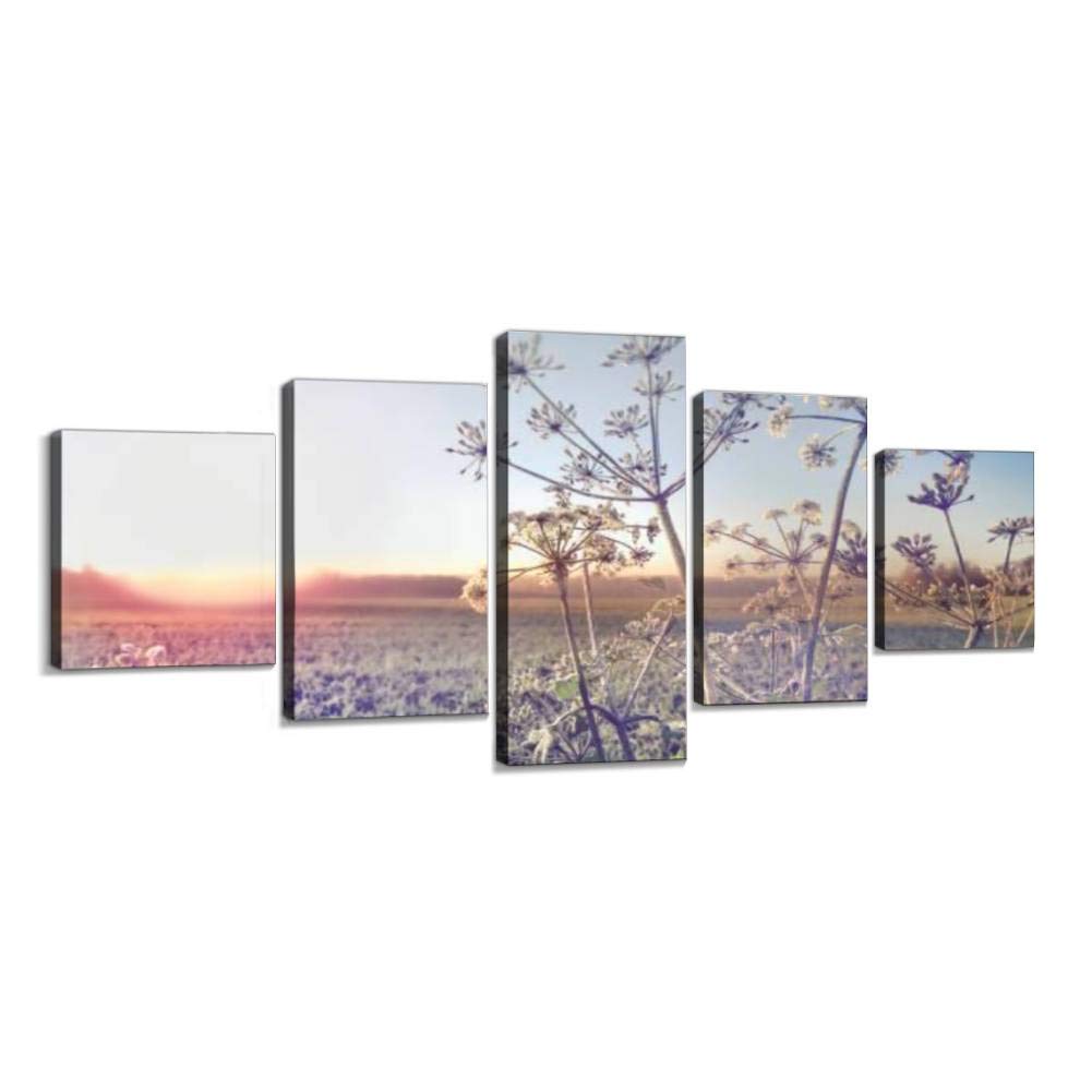 XEPPO Frost-Covered Wild Parsnip Canvas Wall Art - 5-Piece Abstract Landscape Photography Prints for Modern Home Decor | Stretched & Framed | Perfect for Living Room, Bedroom & Office