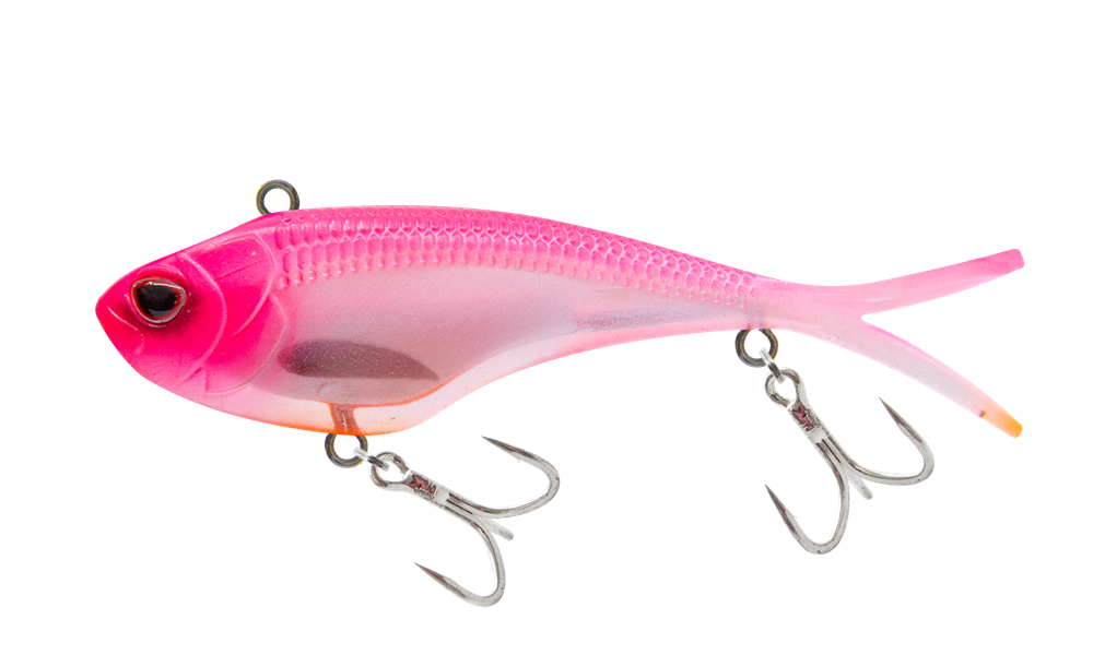 Holographic Purple Shrimp