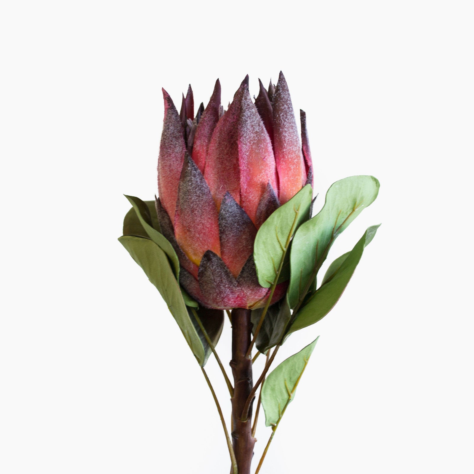 Burgundy King Protea - Exotic Artificial Flower for Home Decor, Wedding Bouquets, and Event Centerpieces | Long-Lasting Floral Arrangement
