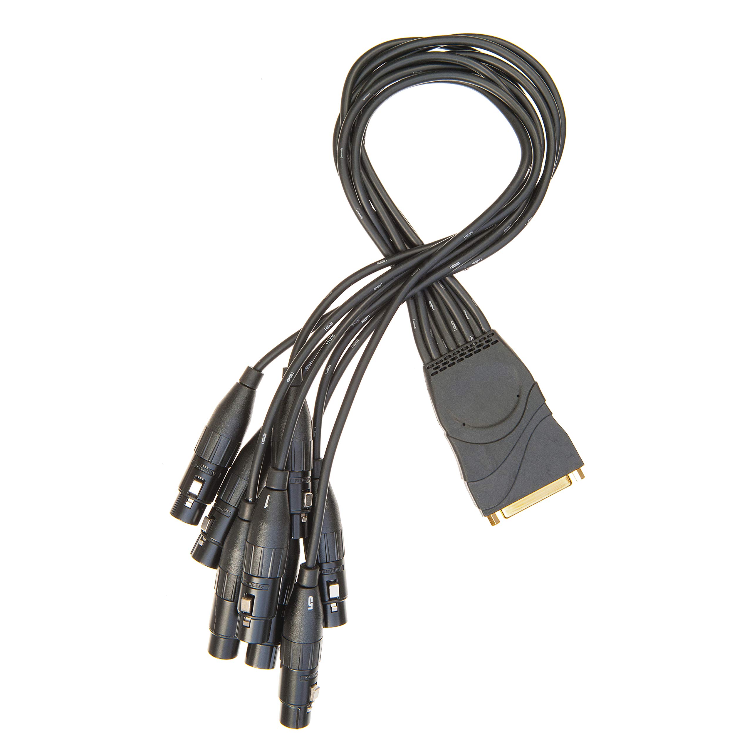 D'Addario Modular Snake XLR Female Breakout Cable - Professional Audio Patch Bay Solution for Live Sound, Studio Recording & Stage Performances