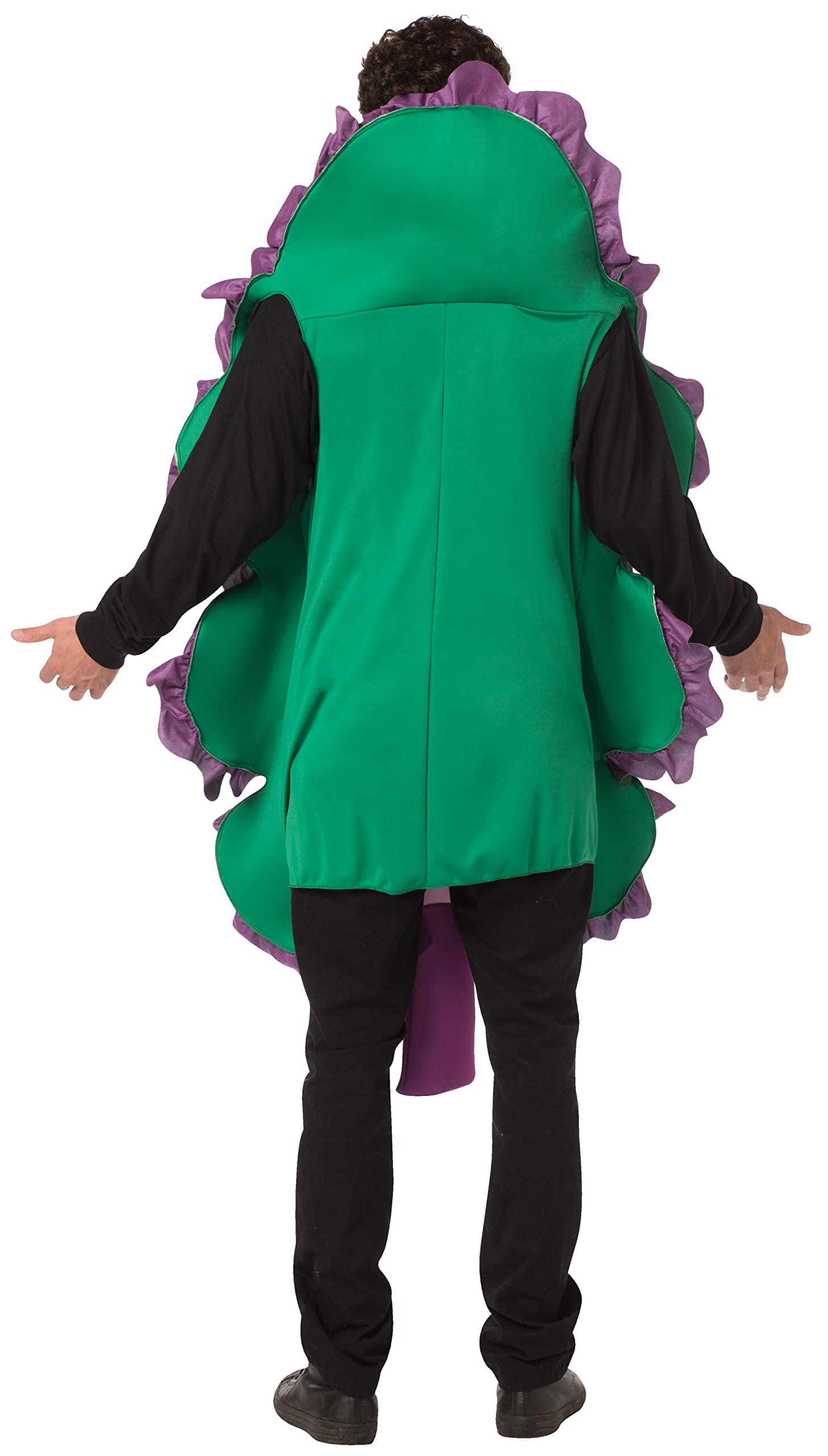 Rasta Imposta Carrot & Kale Lettuce Couples Costume for Men & Women - Funny Adult Fruit Vegetable Costume One Size - Perfect for Halloween, Cosplay & Themed Parties