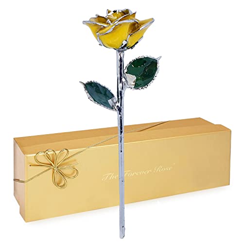 Yellow Rose