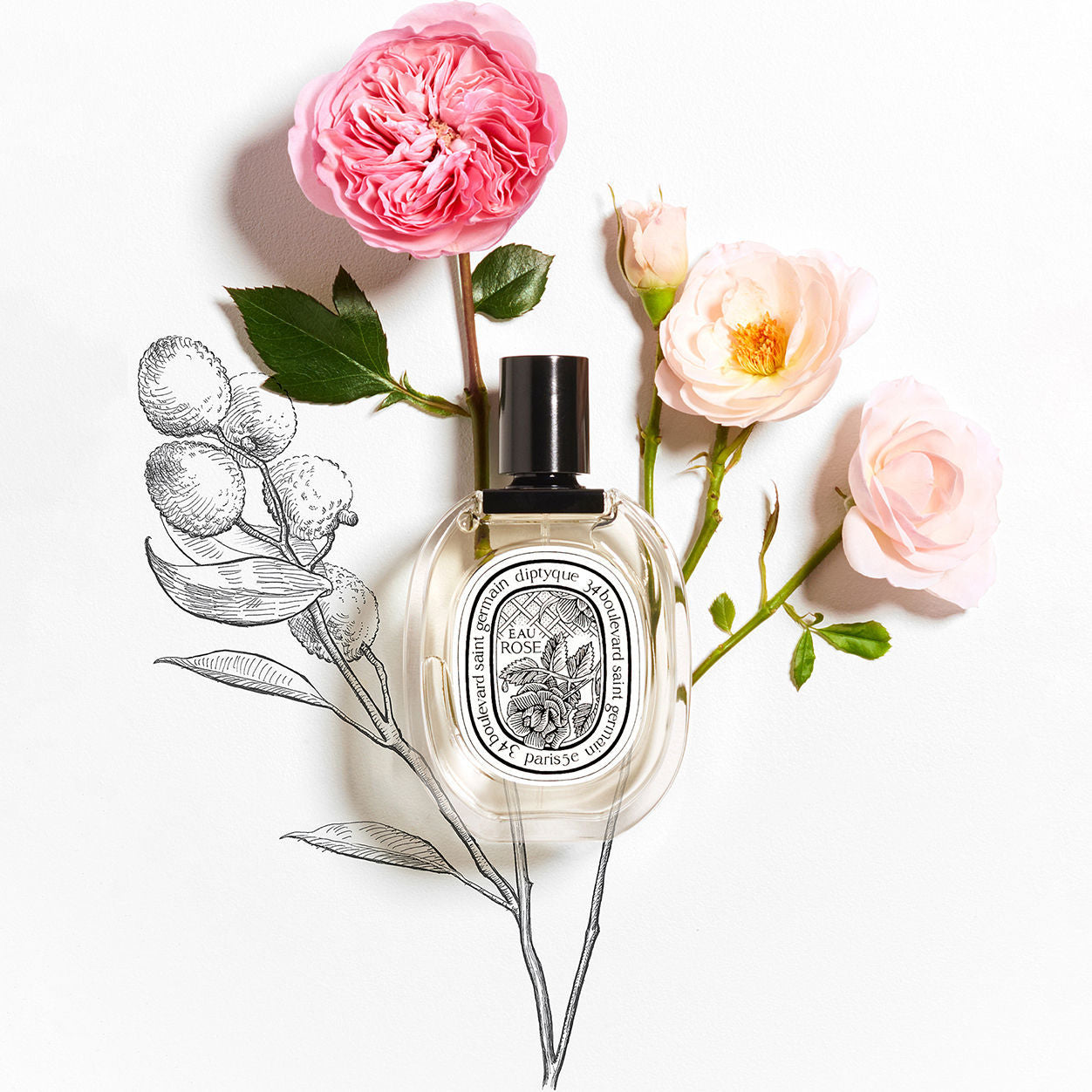 Eau Rose Eau de Toilette - Floral Perfume for Women | Light & Romantic Rose Scent | Perfect for Daily Wear, Date Nights & Special Occasions