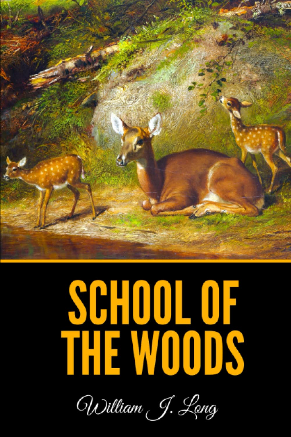 School of the Woods - Premium Outdoor Education & Nature Exploration Gear for Kids & Adults | Perfect for Camping, Hiking, and Wilderness Adventures
