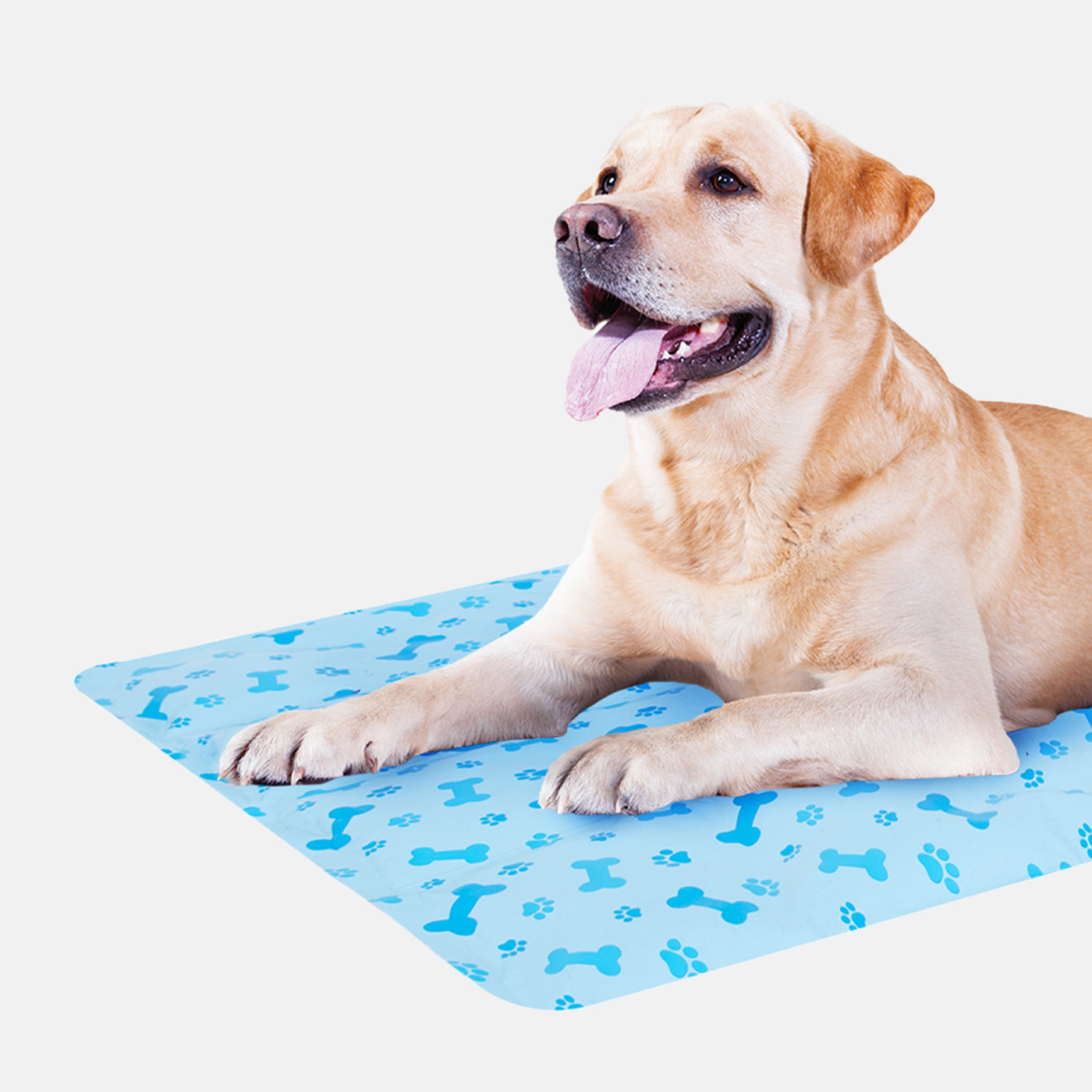 Smart Choice Pet Cooling Mat for Dogs & Cats - Self Cooling Gel Pad for Hot Weather, Travel & Outdoor Use