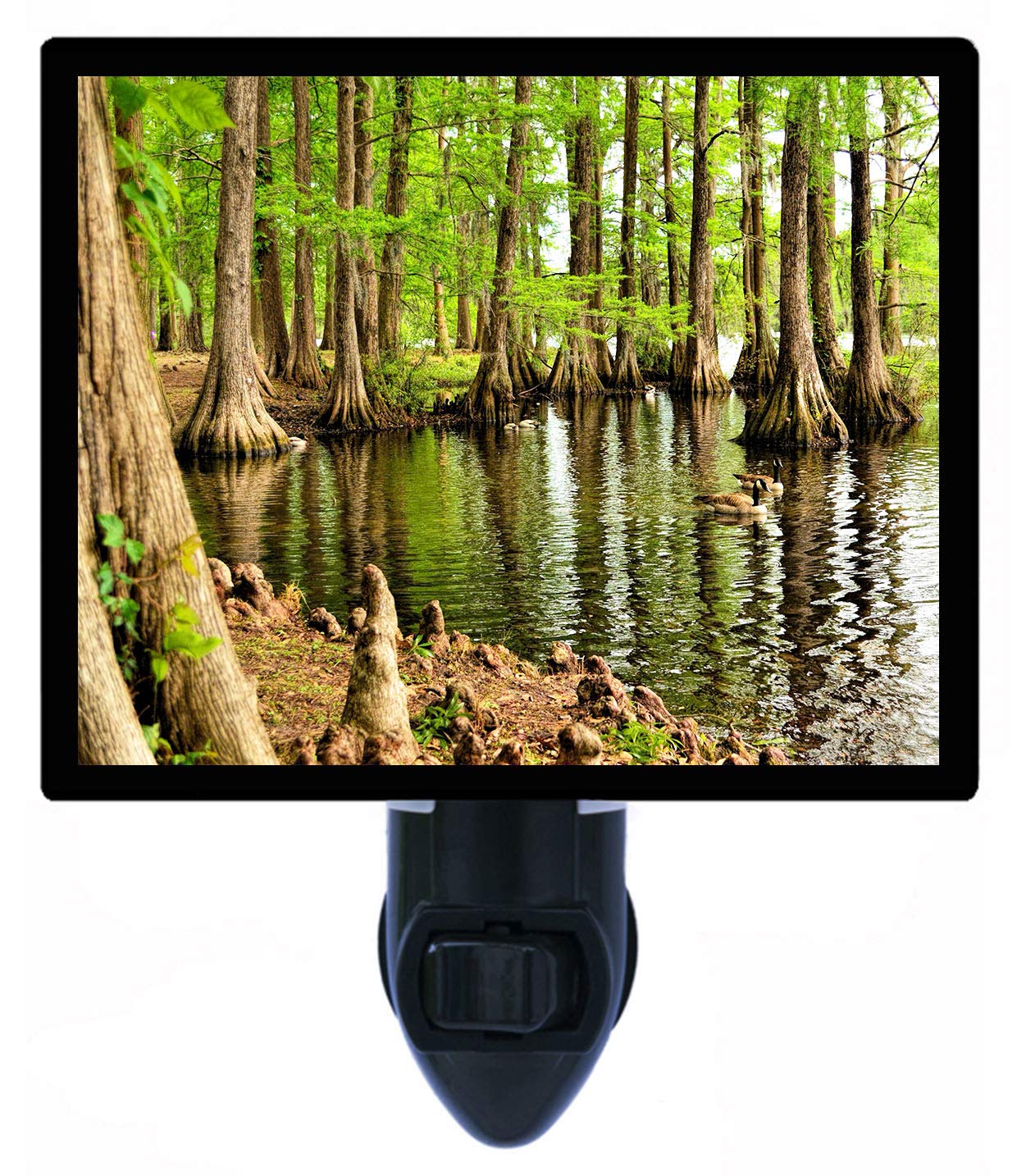 LED Decorative Photo Night Light - Cypress Tree Reflection in Swamp Landscape - Perfect for Bedroom, Nursery & Home Decor