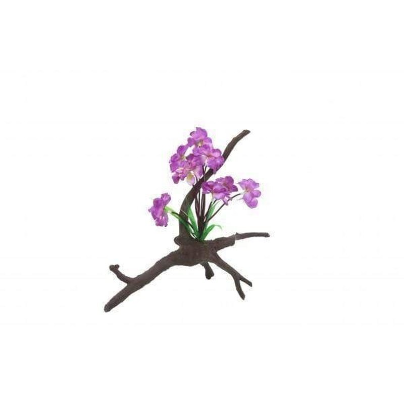 Amazon Jungle Orchid Flowers on Branch 25cm - Realistic Artificial Orchid Decor for Home, Office, Wedding & Party Arrangements