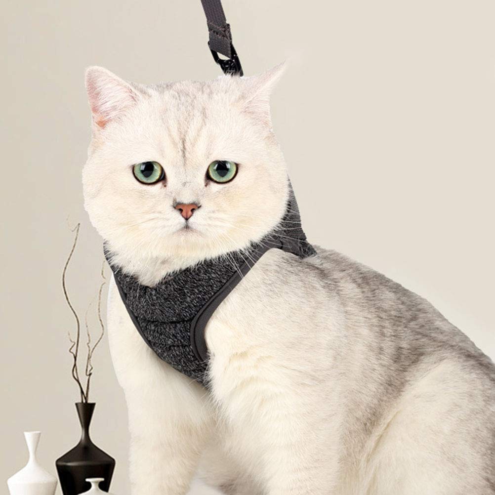 Small Dog Harness & Cat Vest Harness - Adjustable Pet Chest Strap with Leash for Walking, Training & Outdoor Adventures