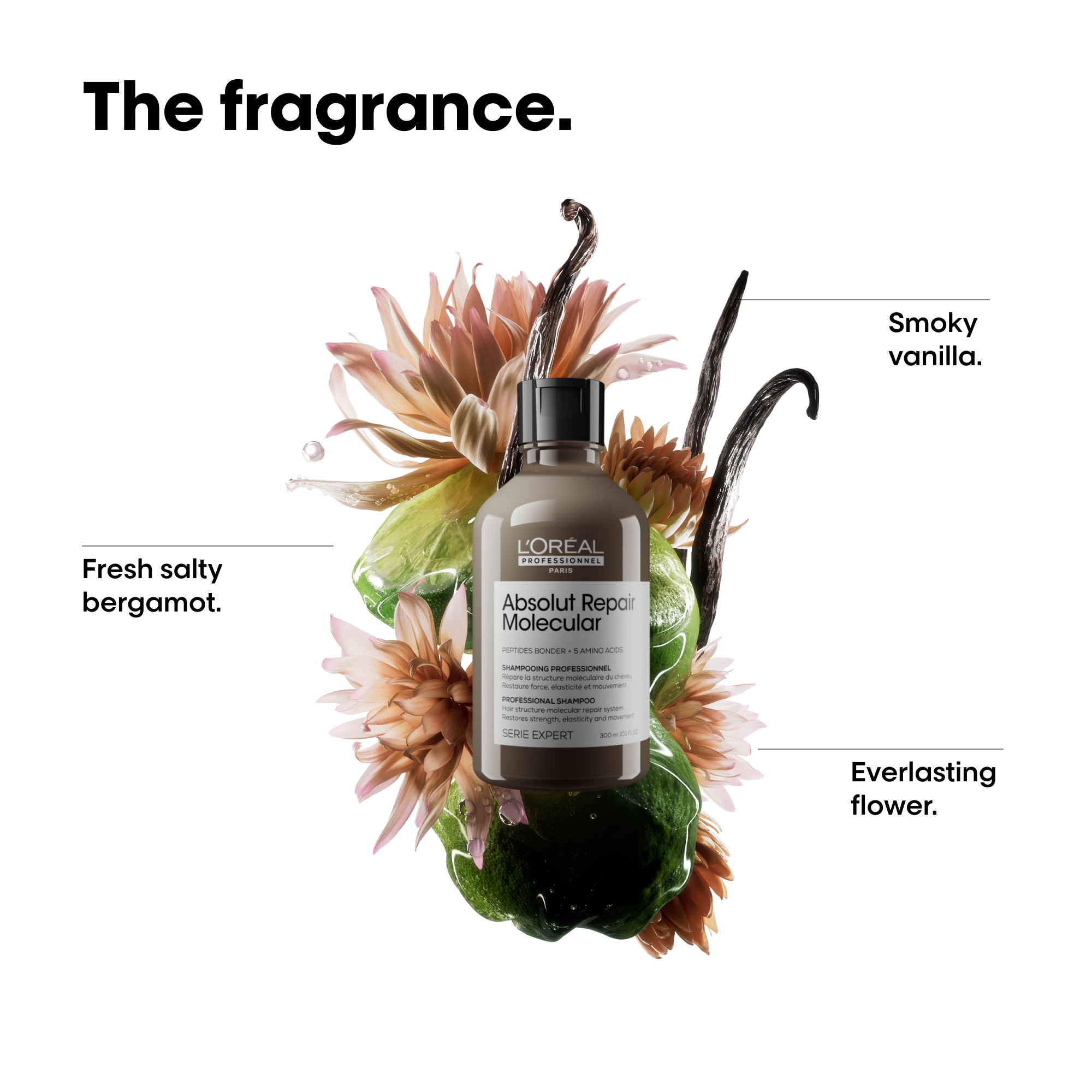 L'Oreal Professionnel Absolut Repair Molecular Shampoo 300ml - Repairing Damaged Hair with Protein - For Dry, Brittle & Color-Treated Hair - Salon Quality Hair Care at Home