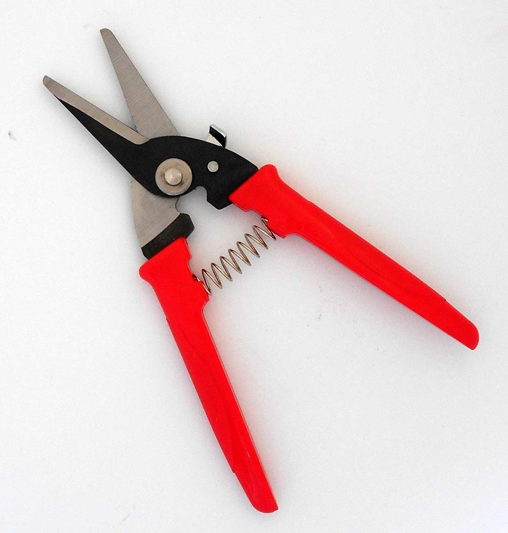 Daiso Premium Gardening Scissors - Sharp Pruning Shears for Plants, Flowers & Herbs | Perfect for Home Garden, Indoor Plants & Bonsai Care