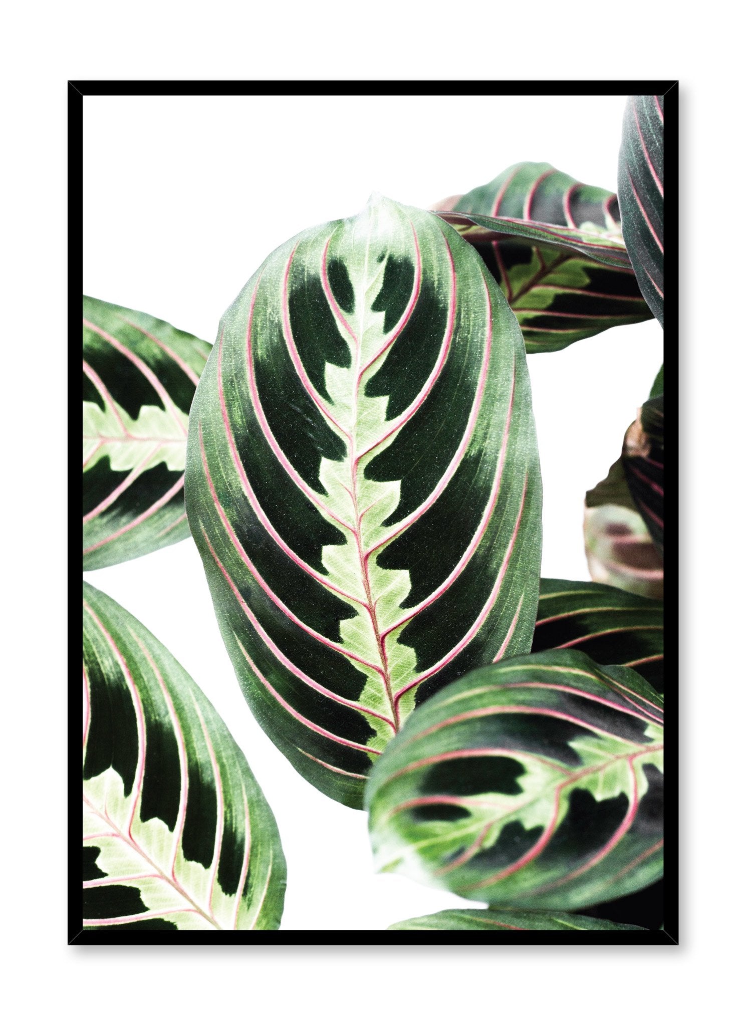 Leafy Poster - Botanical Wall Art Decor for Home & Office - Perfect for Living Room, Bedroom, and Workspace Aesthetics