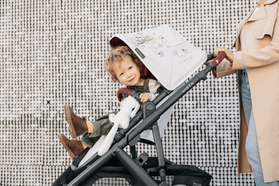 UPPAbaby Vista V2 Stroller - Lightweight Travel Stroller with All-Terrain Wheels | Perfect for City Walks, Shopping & Family Outings