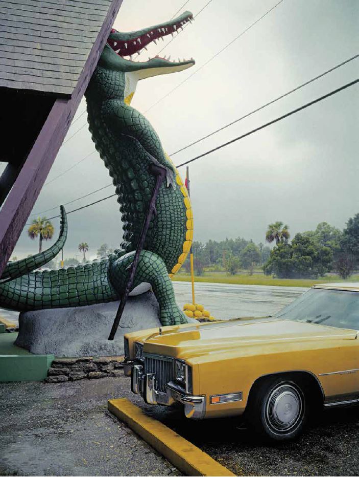 Nathan Benn Editioned Print - Alligator Parking, St. Augustine, FL 1981 - Vintage Florida Wildlife Photography for Home & Office Decor