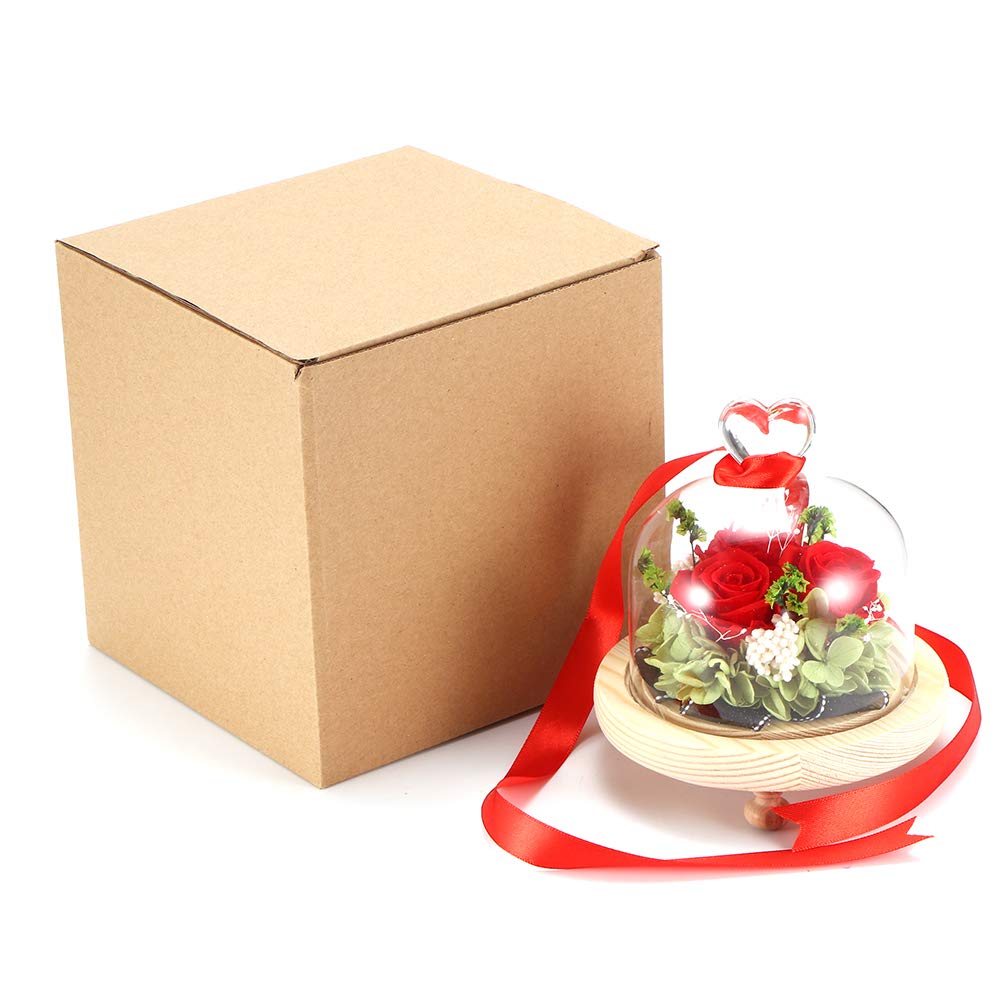 ALLOMN Beauty and The Breast Red Rose Kit - Upgraded Preserved Fresh Rose Flower with LED Atmosphere Light, Romantic Gift for Anniversary, Birthday, Mother's Day, Valentine's Day - Perfect for Bedroom Decor, Wedding Centerpiece & Surprise Gift for Her