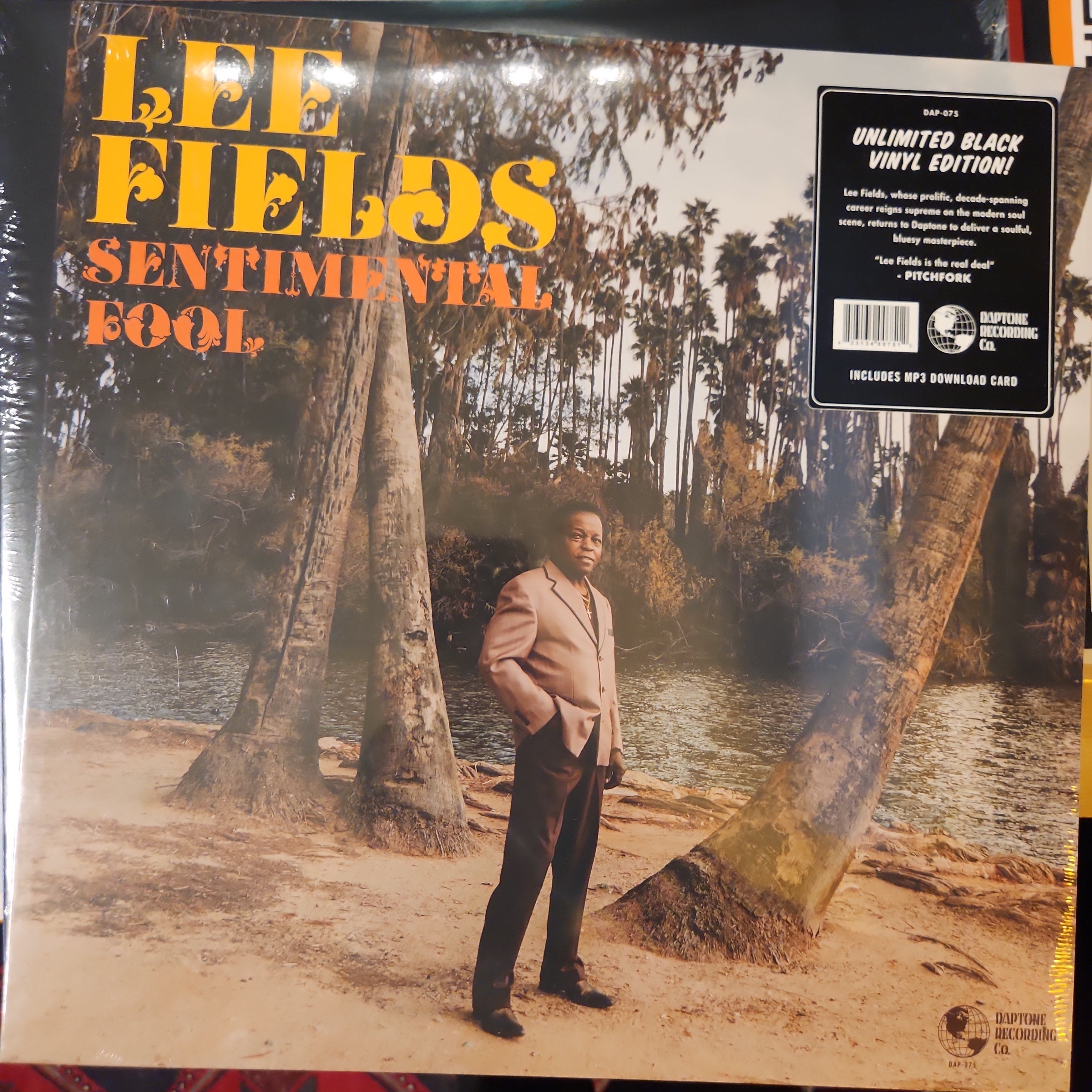 Lee Fields - Sentimental Fool Vinyl LP Record | Soul & Funk Music for Collectors | Perfect for Home Listening & Music Enthusiasts