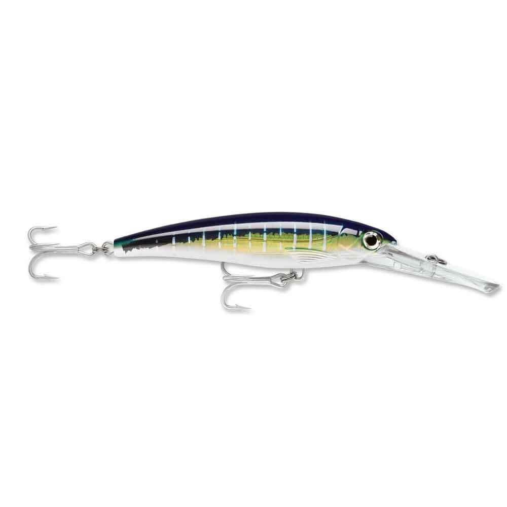 GOLD GREEN MACKEREL