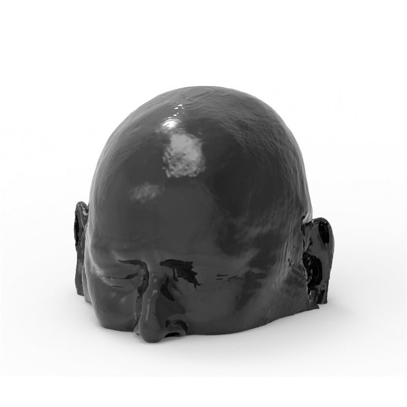 CTA Aneurysm Head Phantom for CT Scan and X-Ray Training - High-Quality Medical Simulation Tool for Radiology Education and Diagnostic Practice