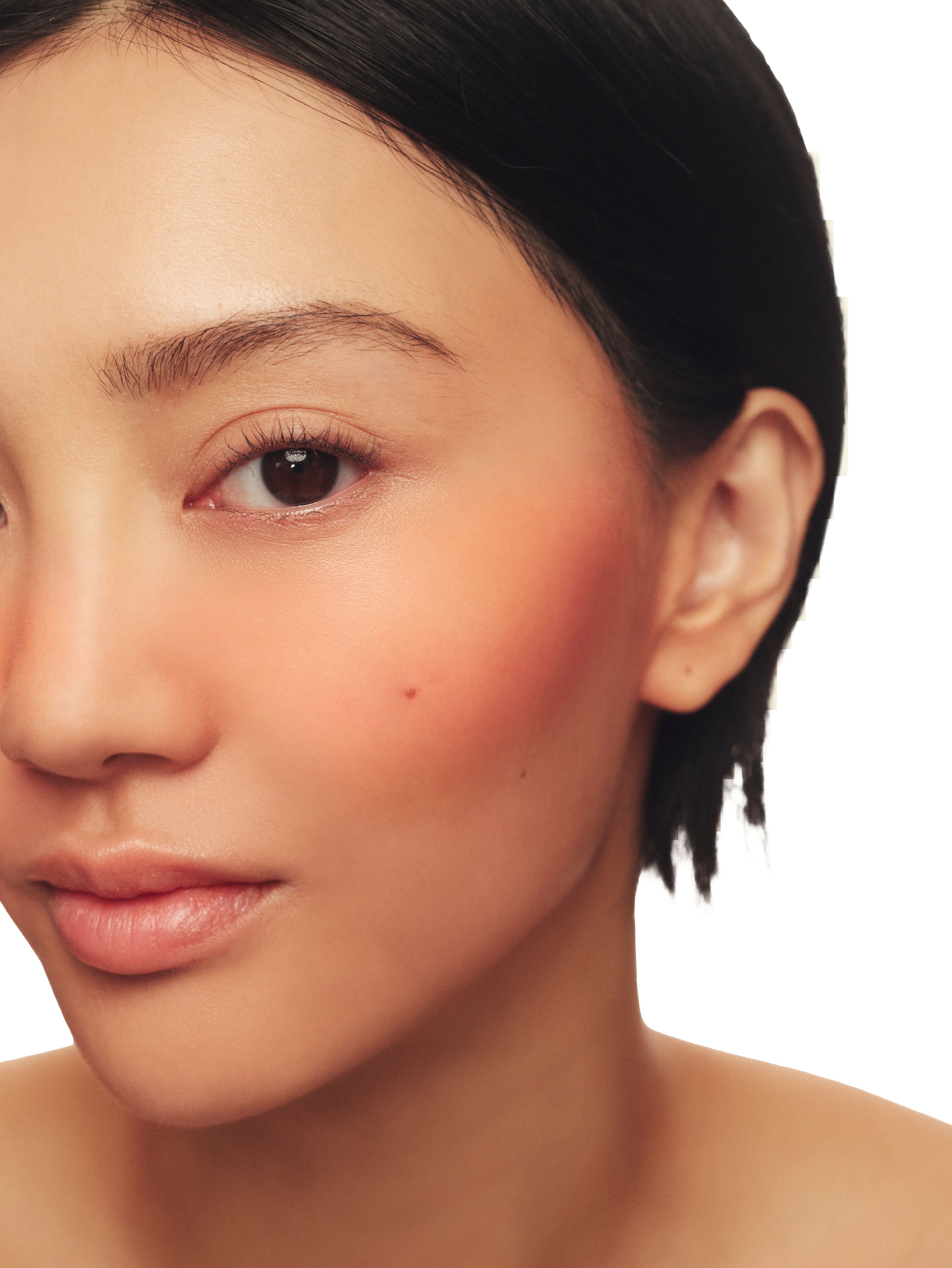 Natural Blush On Makeup Set - Flattering Cheek Color Palette for Daily & Party Wear | Cruelty-Free & Long-Lasting