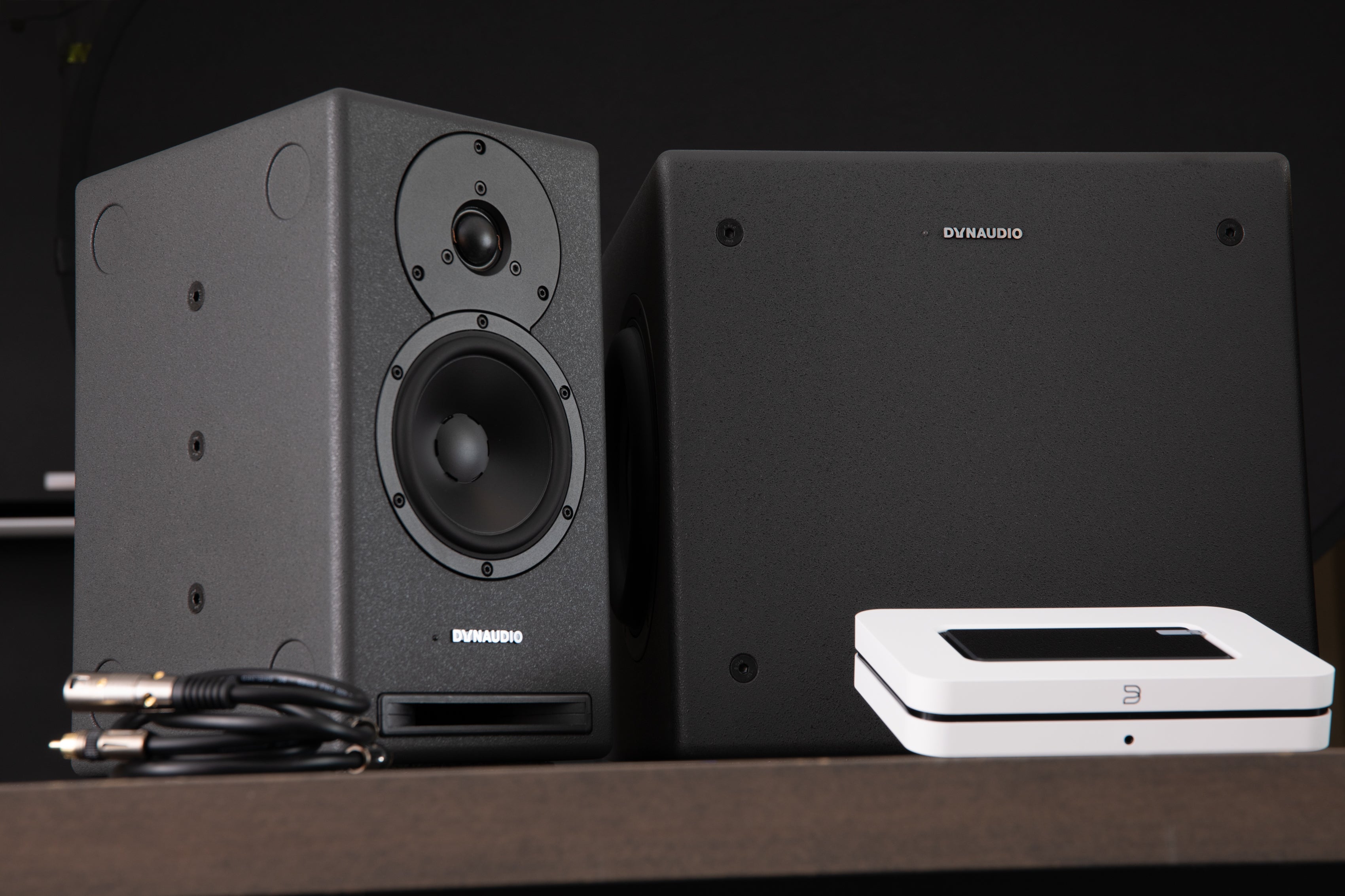 Dynaudio Core 5 Professional Studio Monitor - High Precision Audio Solution for Music Production, Mixing & Mastering | Perfect for Home Studios & Professional Recording