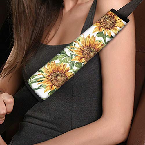 Sunflower 6