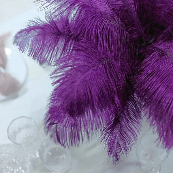 12 Pcs 10-15 Inch Genuine Ostrich Feathers for DIY Crafts, Wedding Decorations, and Costume Accessories