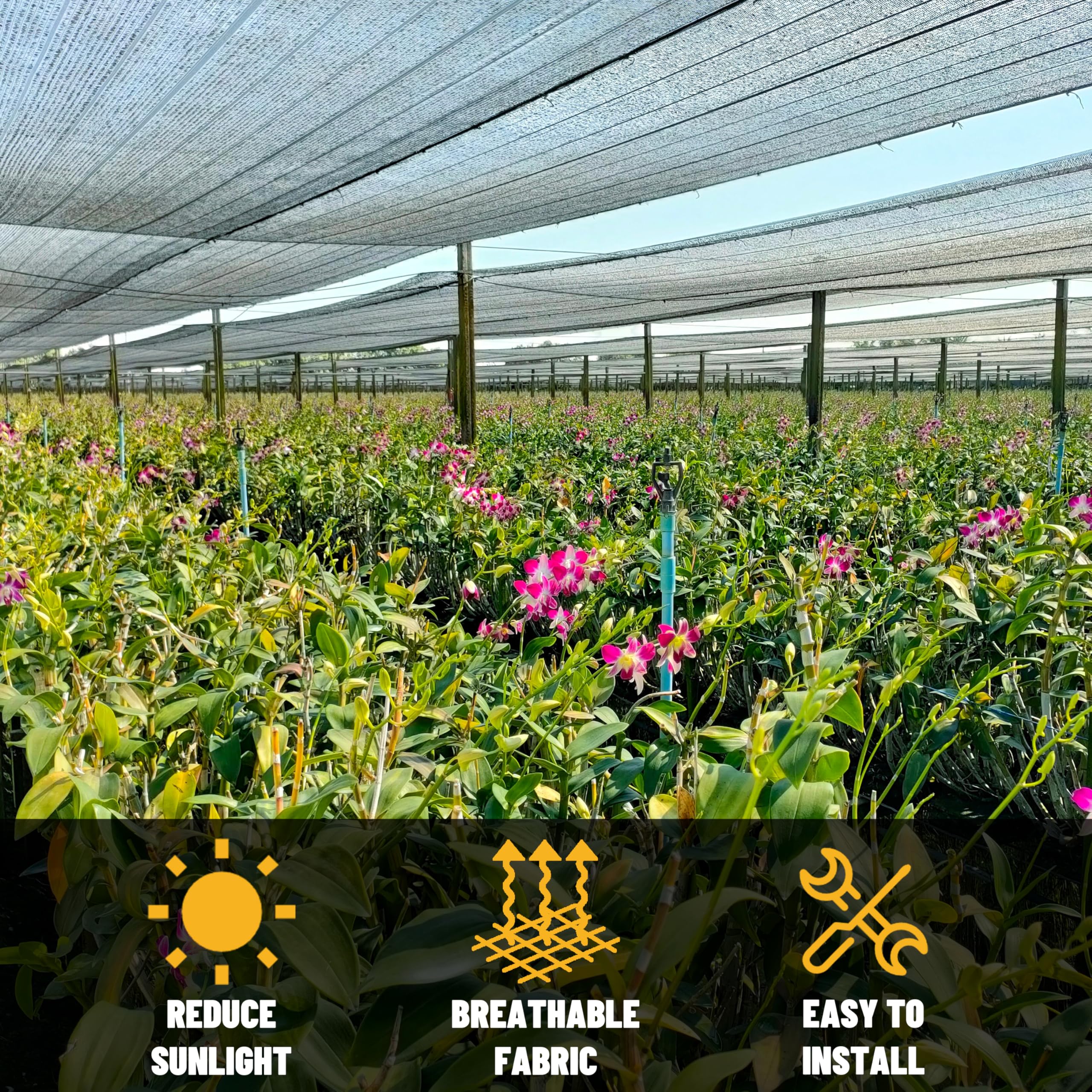 ColourTree 50% Black Shade Cloth 5FT x 12FT UV Resistant Mesh Tarp with Reinforced Grommets - Custom Sizes Available for Plant Cover, Greenhouse, Chicken Coop, Barn, Kennel & Garden Protection | Ideal for Sun Protection, Privacy Screens & Outdoor Shade Solutions