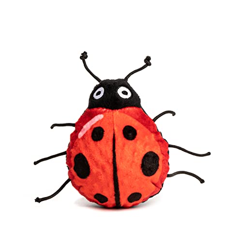 Lady Bug