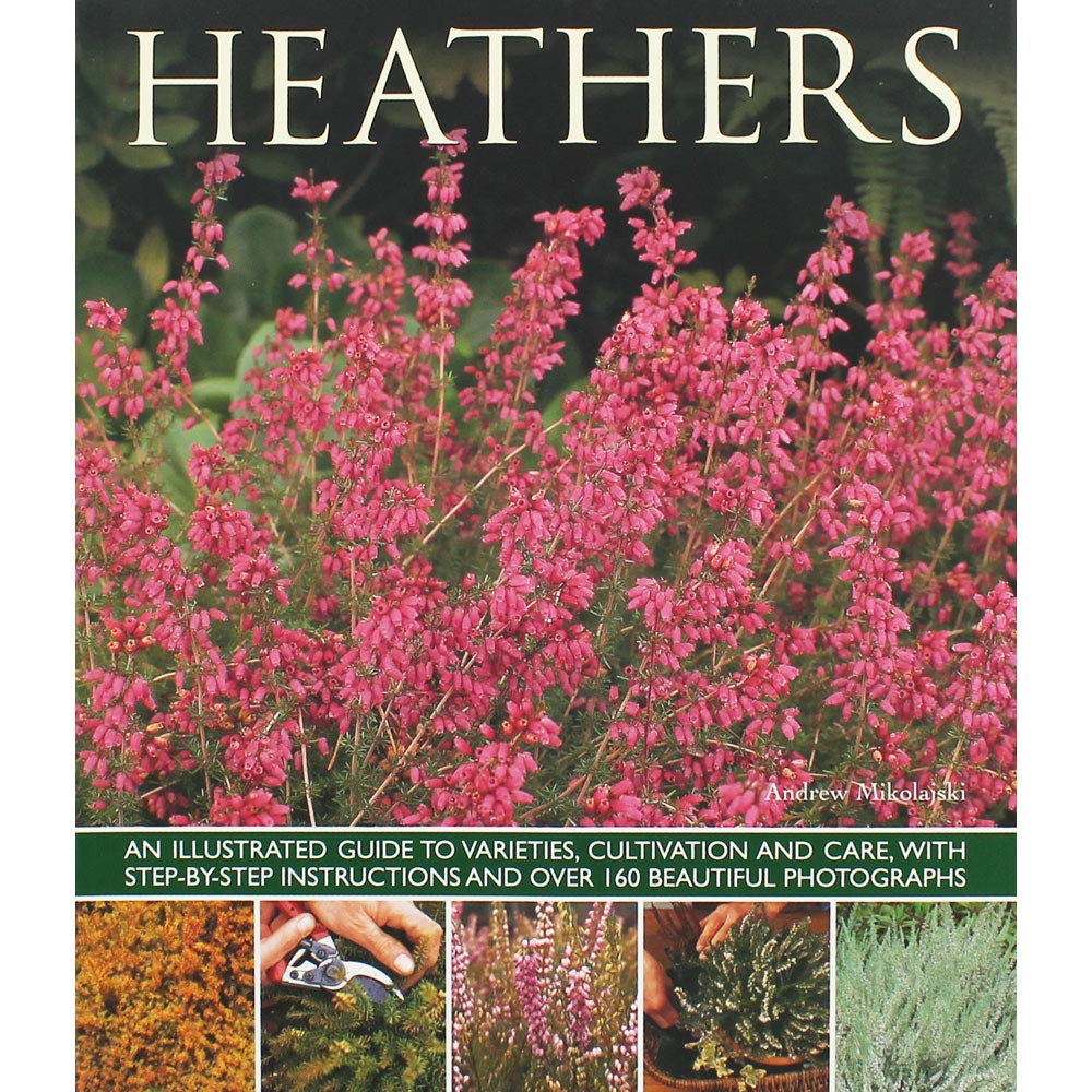 Heathers Plant Guide: Varieties, Cultivation & Care with Step-by-Step Instructions | 160+ Stunning Photos | Perfect for Garden Landscaping & Home Decor