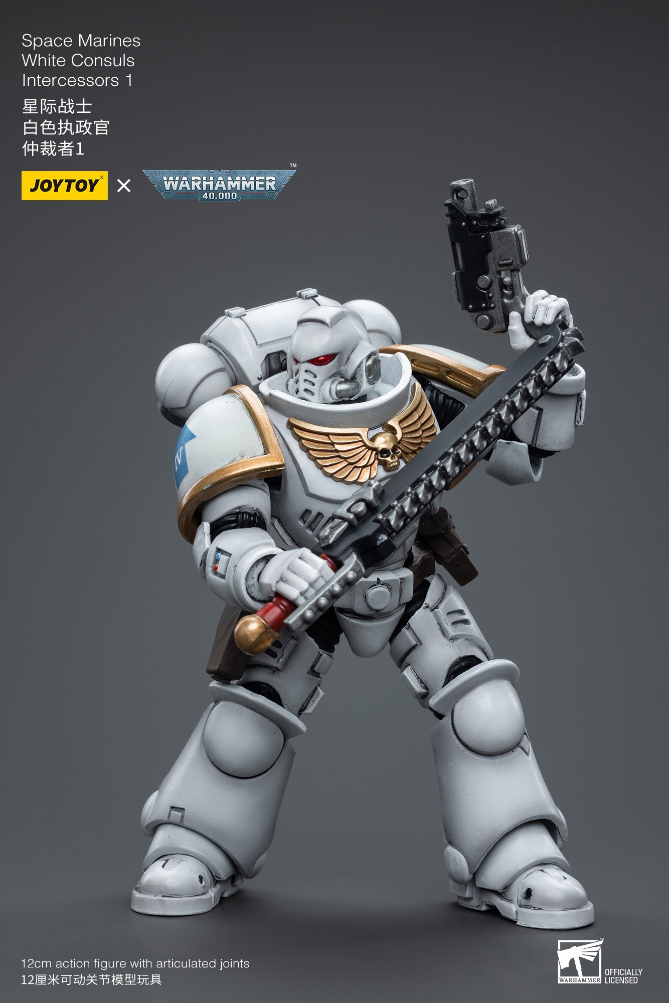 1/18 JOYTOY Warhammer 40K Space Marines White Consuls Intercessors Action Figure - Collectible Miniature for Tabletop Gaming & Display