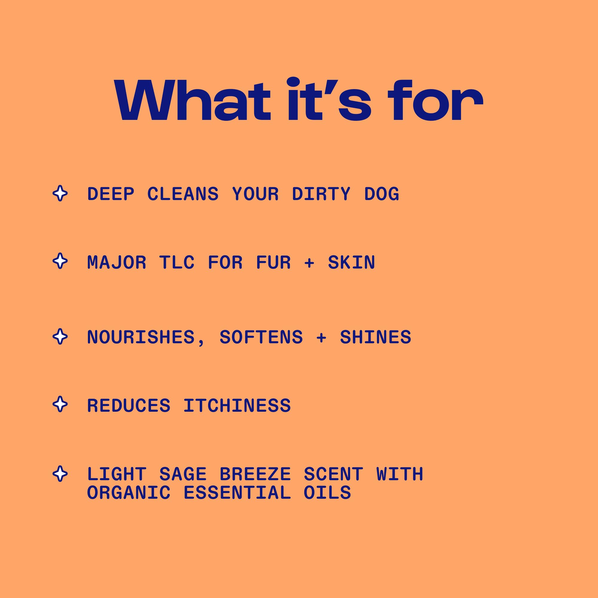 Disco Dog Shampoo & Conditioner - Organic Essential Oils, Vegan & Sulfate-Free Pet Grooming (10oz) - Vet Formulated for Shiny Coat & Healthy Skin - Perfect for Bath Time & Dog Spa Days - Sage Breeze Scent