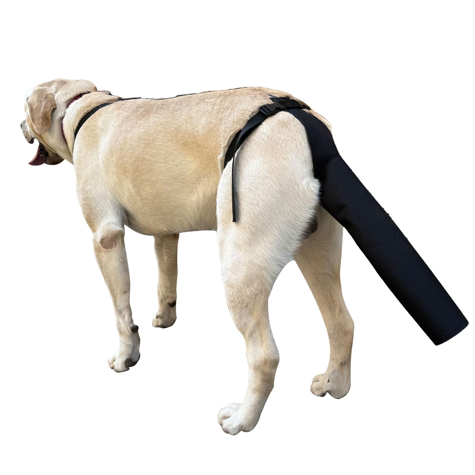 Dog Tail Protector for Wounds & Happy Tail Syndrome - Breathable Tail Guard Sleeve Cover with Adjustable Harness (Size M) - Perfect for Active Dogs, Post-Surgery Recovery & Injury Prevention