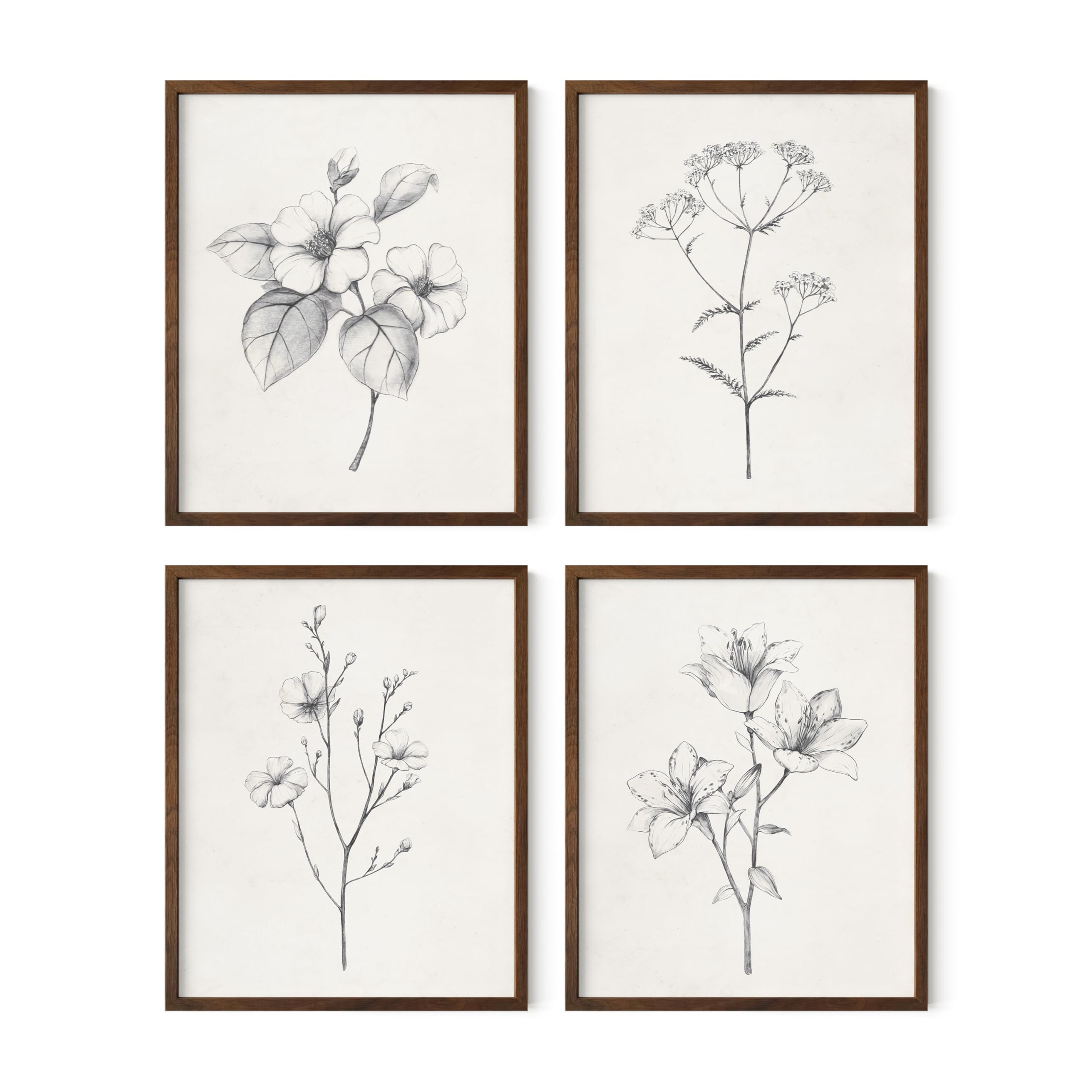 HAUS AND HUES Vintage Botanical Wall Art Set - 4 Grey Floral Prints with Walnut Frame (8x10) for Farmhouse, Bathroom & Rustic Room Decor | Black and White Flower Pictures for Home Aesthetic
