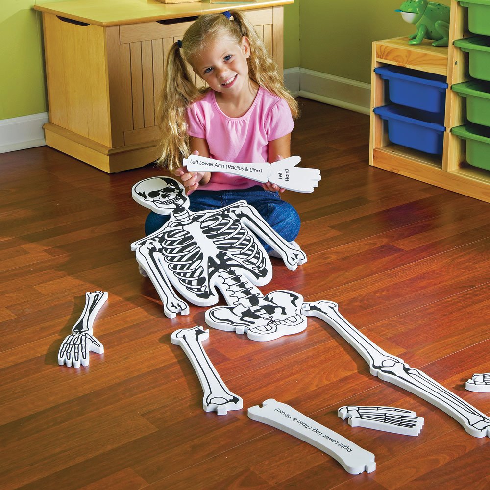 Learning Resources Skeleton Floor Puzzle - 15-Piece Anatomy Puzzle for Kids Ages 3+, Homeschool STEM Activity, Educational Floor Toy for Classroom & Home Learning - Perfect for Science Lessons and Family Game Night