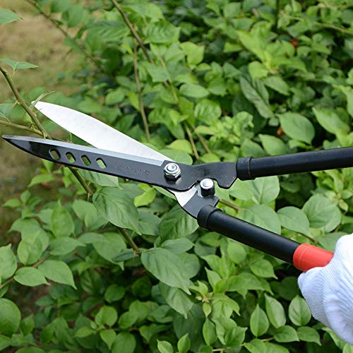 Sharp Garden Pruning Shears with Non-Slip Handle - Professional Branch Cutter for Flowers, Grafting & Tree Trimming - Essential Hand Pruner for Every Home Gardening & Landscaping Needs