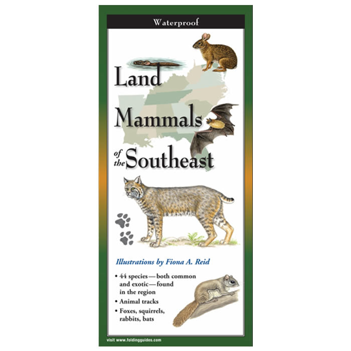 Southeast US Land Mammals Identification Guide - Folding Pocket Chart for Hiking, Camping & Wildlife Observation