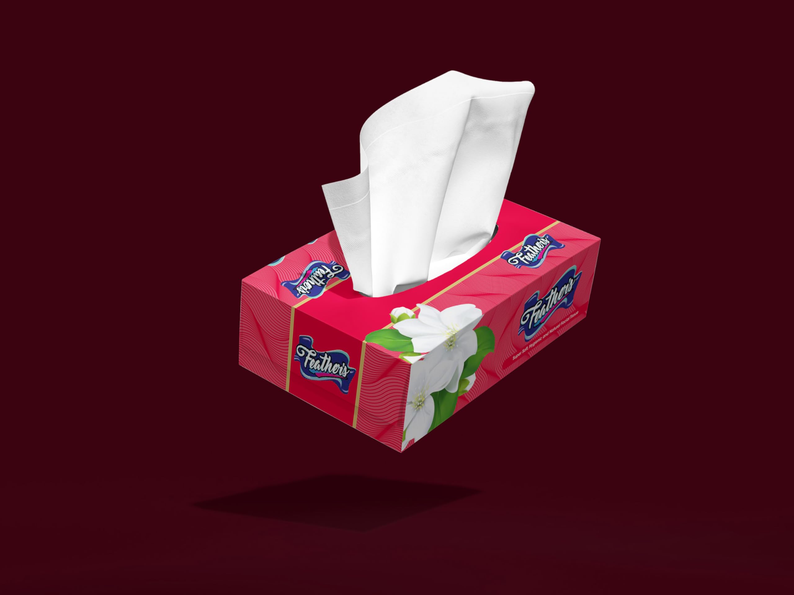 Premium 600-Ply 2-Ply Biodegradable Facial Tissues | Super Soft & Ultra Absorbent Virgin Tree Pulp Paper | 6-Pack (100 Pulls Each) for Home, Office & Travel | Eco-Friendly Face Wipes for Daily Use & Makeup Removal