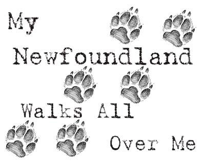 My Newfoundland Walks All Over Me Funny Dog Lover T-Shirt - Cute Pet Owner Gift for Newfoundland Owners - Perfect for Dog Parks, Walks & Casual Wear