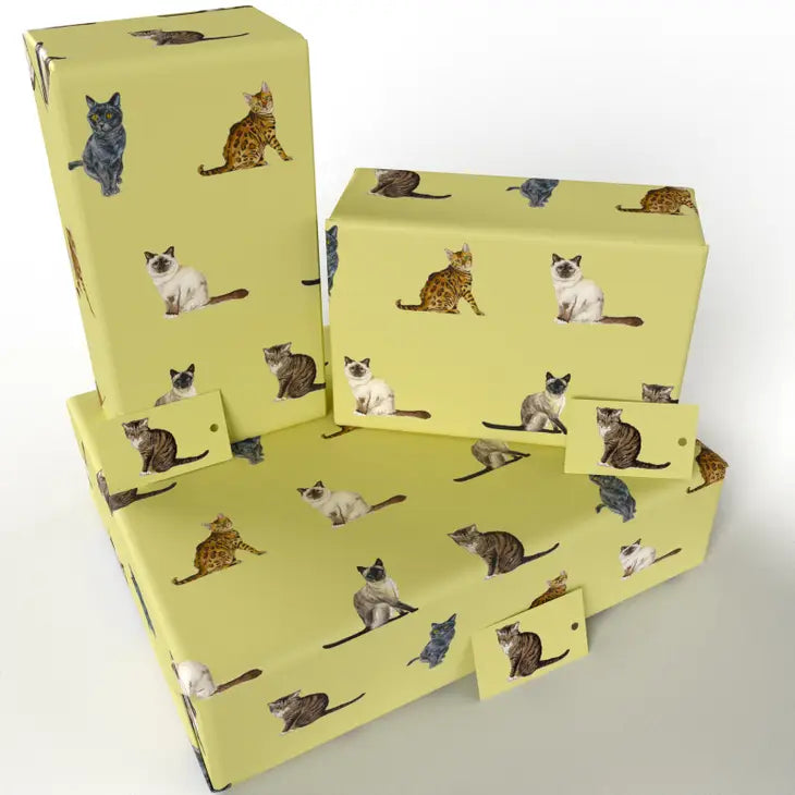 Premium Cat Breeds Wrapping Paper - 12 Unique Designs for Gift Wrapping, DIY Crafts & Party Decorations - Perfect for Birthday Presents, Christmas Gifts & Cat Lovers