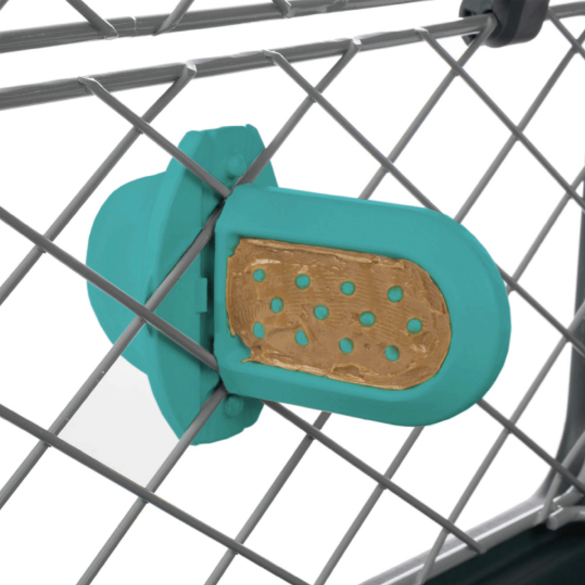 Diggs Groov Crate - Turquoise Dog Crate Training Aid for Puppy & Adult Dogs | Perfect for House Training, Travel & Vet Visits