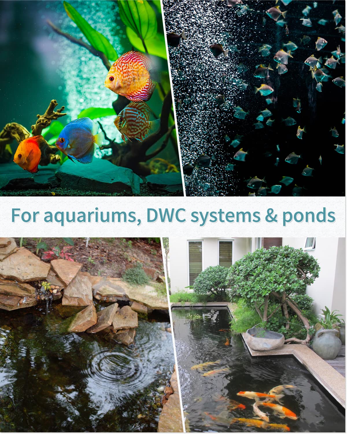 12 Inch Aquarium Air Stone Bar - Bubble Diffuser with Suction Cups for Fish Tanks, Hydroponic DWC Systems & Small Ponds | Oxygenates Water for Healthier Fish & Plants | Perfect for Home Aquariums, Hydroponic Gardens & Outdoor Water Features