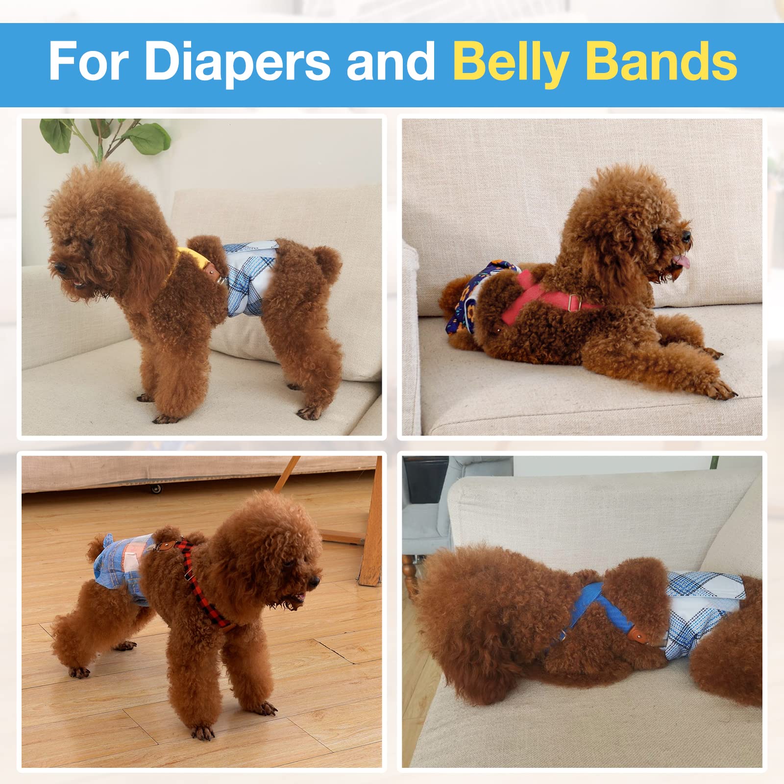 Pet Soft Dog Suspenders 2-Pack - Adjustable Diaper Suspenders for Small Dogs, XS/S Size - Secure Dog Diapers, Skirts & Dresses (Gold & Blue) - Perfect for Puppy Training, Fashion Outfits & Special Occasions