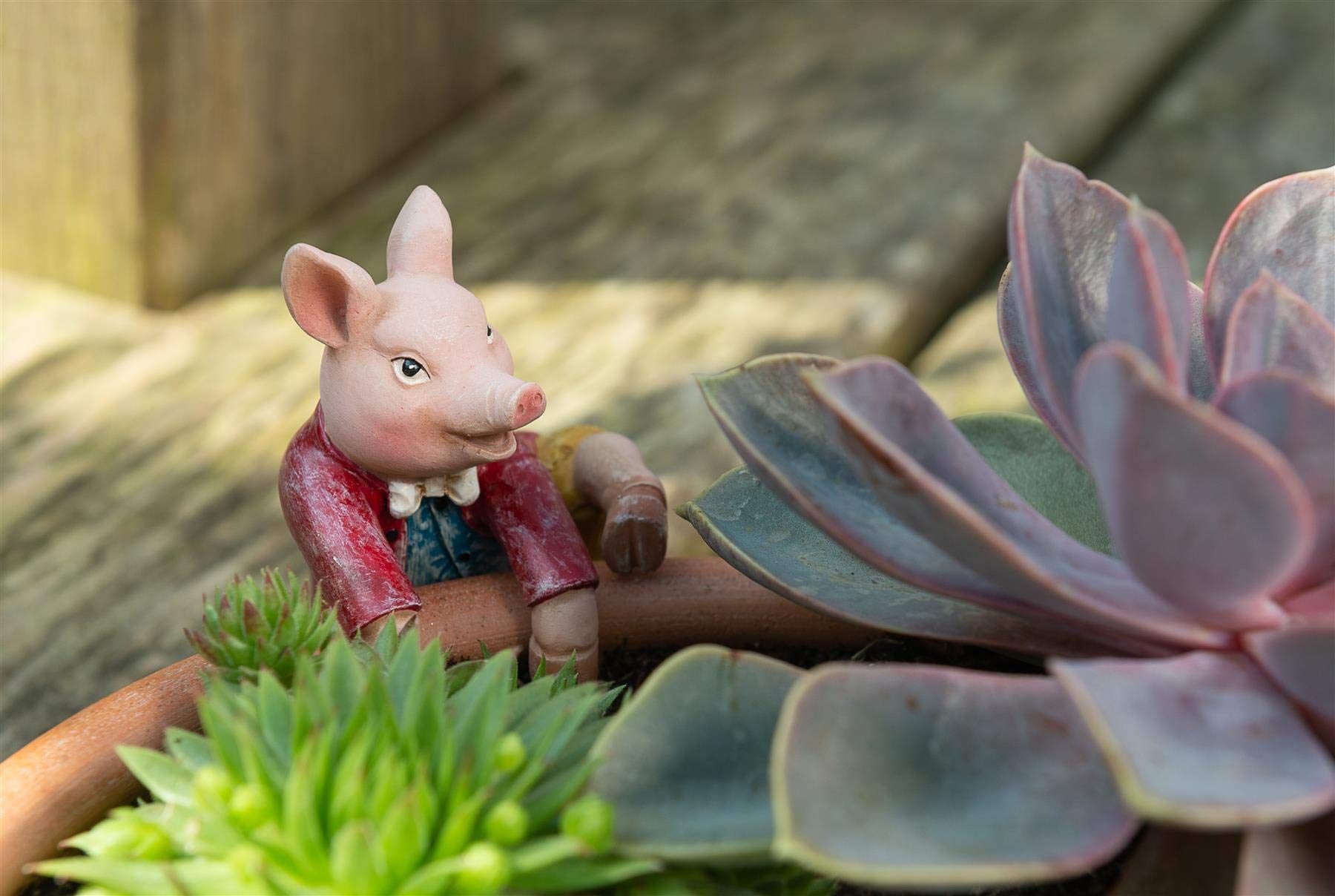Pigling Bland Pot Buddy - Licensed Beatrix Potter Ceramic Plant Pot Hanger for Indoor & Outdoor Gardens | Perfect for Hanging Flower Pots, Herb Planters, and Succulent Displays