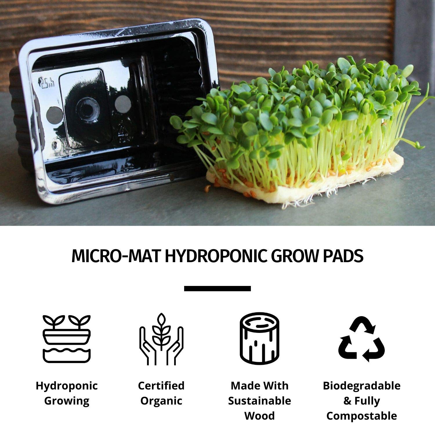 Organic Micro-Mat Minis Hydroponic Grow Pads for Wheatgrass & Microgreens - 4