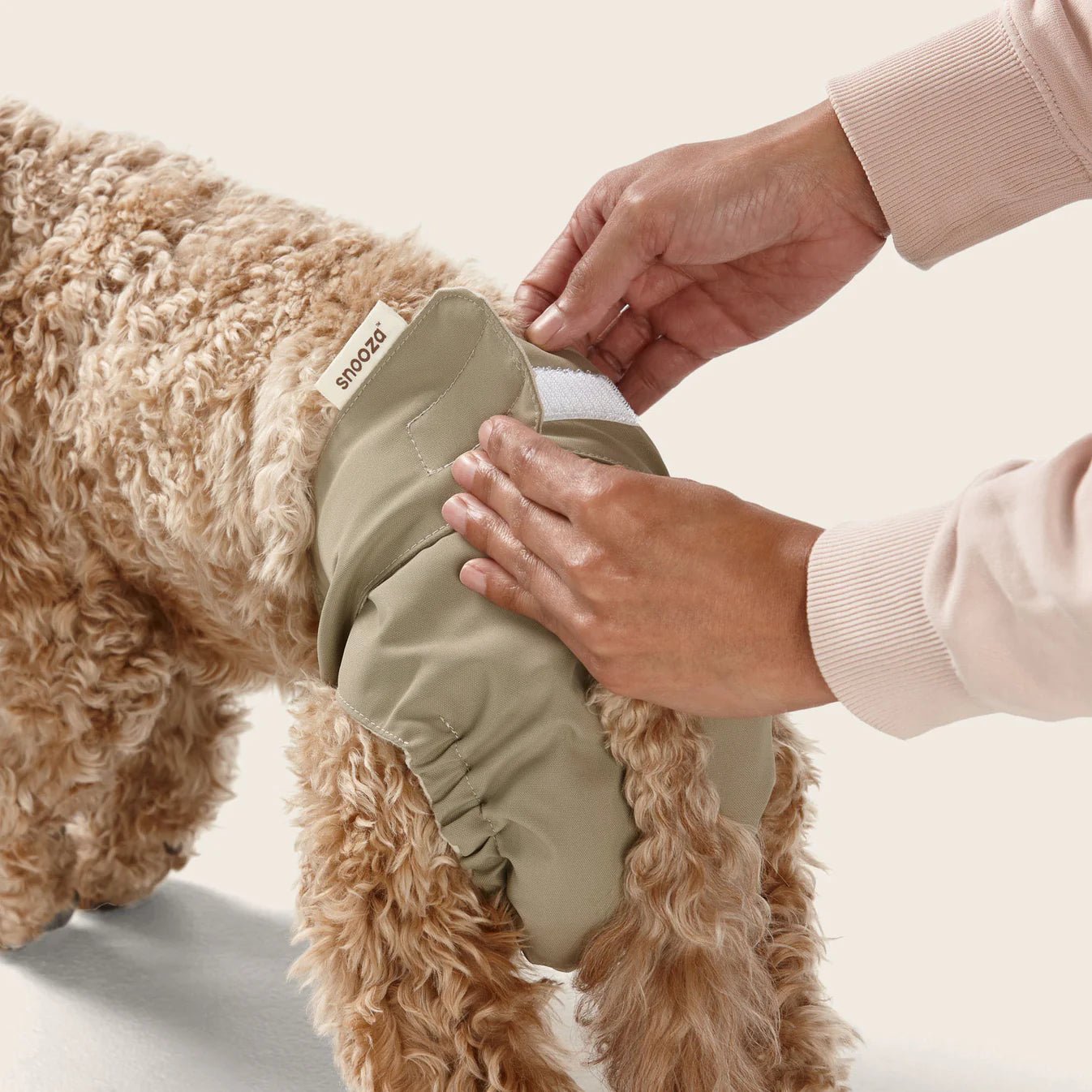 Washable Female Dog Diapers - Reusable Twin Pack for Incontinence & Heat, Perfect for Indoor Use & Travel