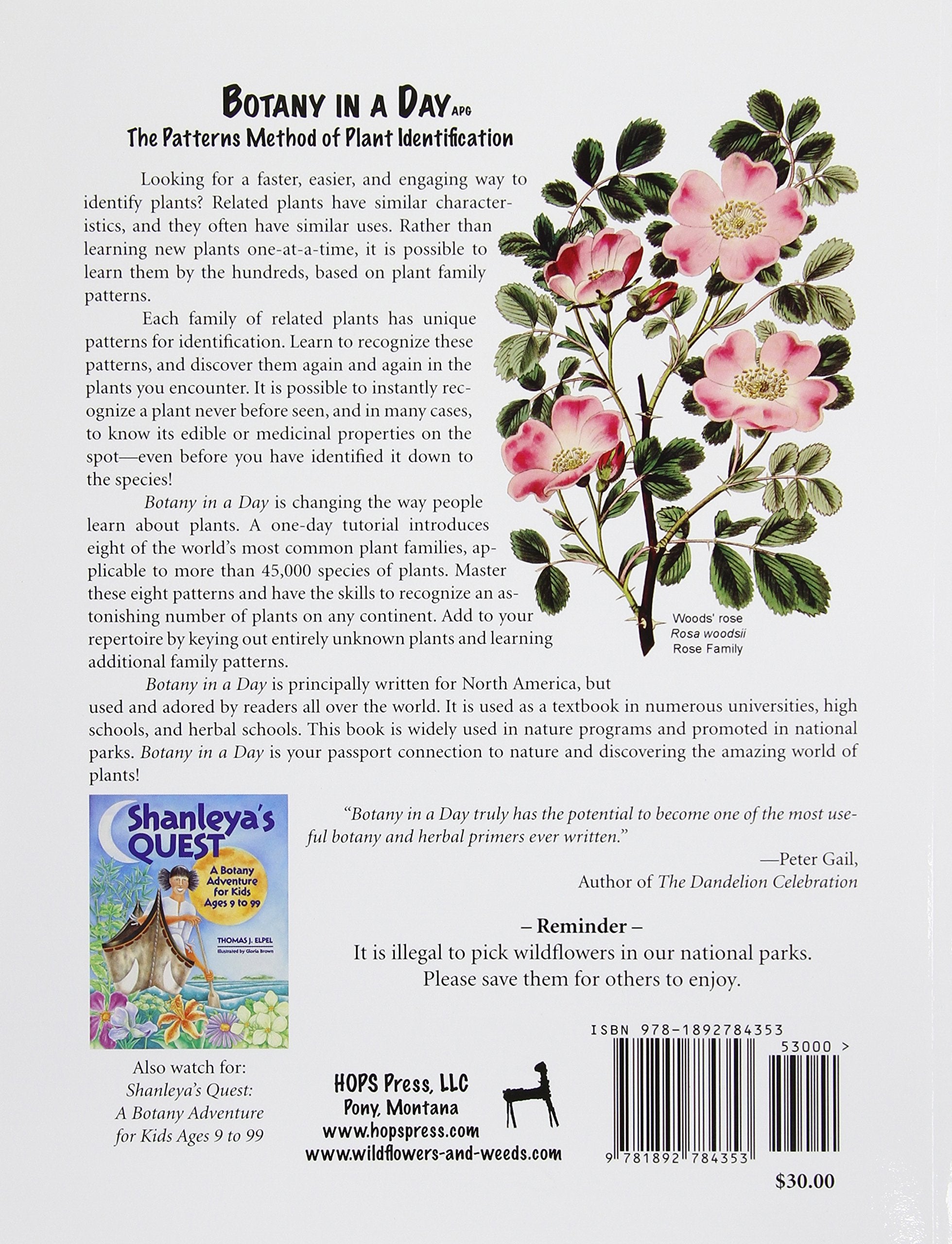 Botany in a Day: The Patterns Method of Plant Identification - Field Guide for Beginners & Nature Enthusiasts | Perfect for Hiking, Gardening, and Outdoor Education